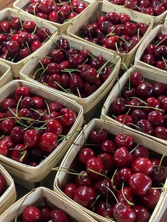 it's cherry season 🍒