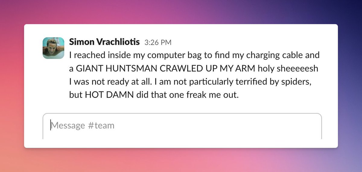 Simon Vrachliotis tweet media