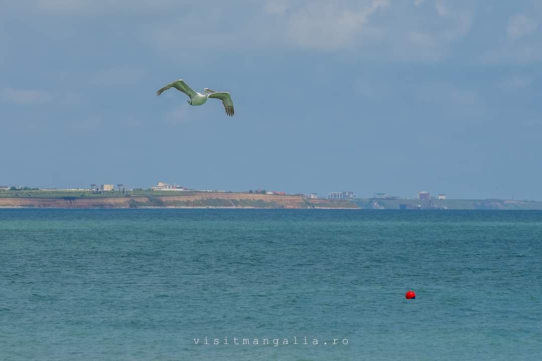 Travel_2Romania's tweet photo. #CapAurora, vederi de pe noile diguri. Sau direct într-o vacanță de vară de vis la malul mării.🏖️🍹⛱️
⭕️https://t.co/o6qmlof92o #Mangalia #Saturn #Venus #CapAurora #Jupiter #Neptun #Olimp #MareaNeagra #vacanta2024 #rivierasud🌊 #sunrise #beachsunrise #healthylife
#TraveltoRomânia https://t.co/GGBtTpQm2p