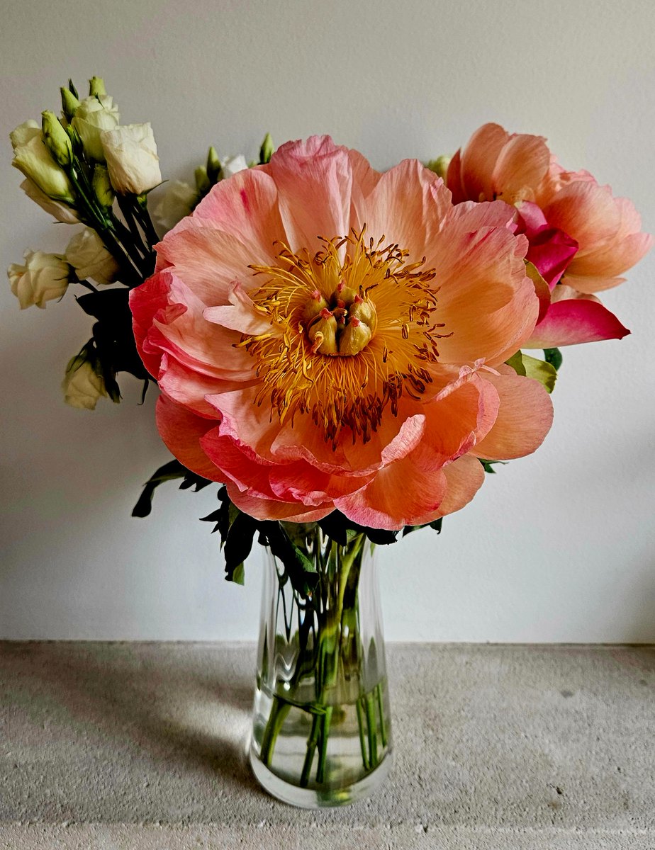 Good morning! I hope it will be a beautiful week for you.