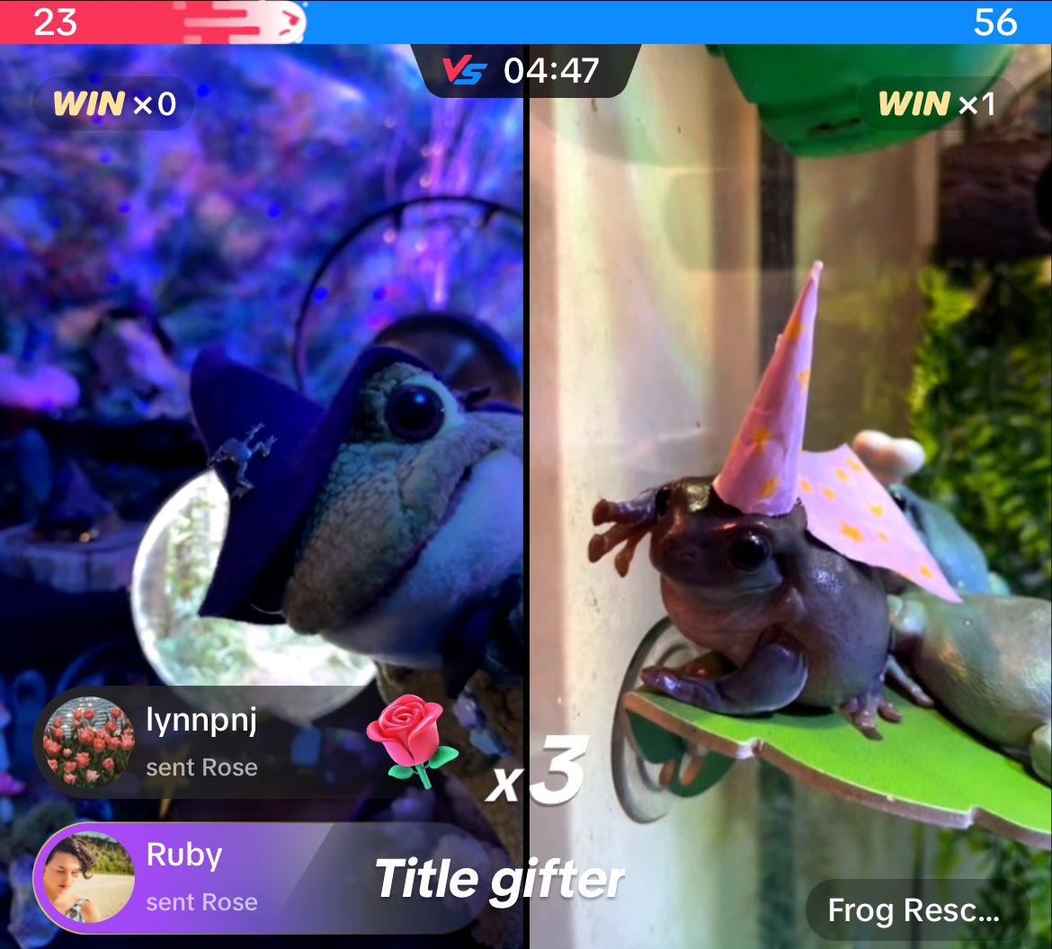 pember_emily's tweet image. Tonight’s original battle didn’t end up happening so #wizardfrog 𓆏 @motheroffrogss and @Freekbass gave us an extra regular live instead!
🙌 🐸💚🌈🎸🎼🎶🎵🎤
