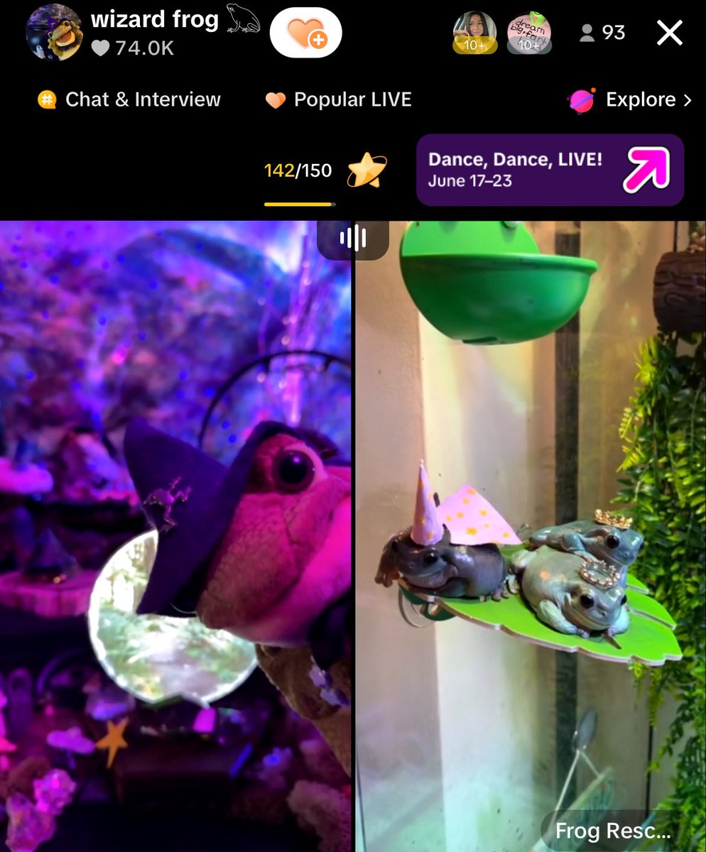 pember_emily's tweet image. Tonight’s original battle didn’t end up happening so #wizardfrog 𓆏 @motheroffrogss and @Freekbass gave us an extra regular live instead!
🙌 🐸💚🌈🎸🎼🎶🎵🎤