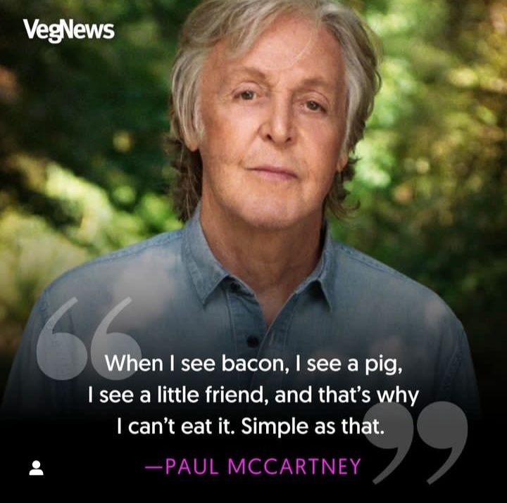 VegNews tweet media