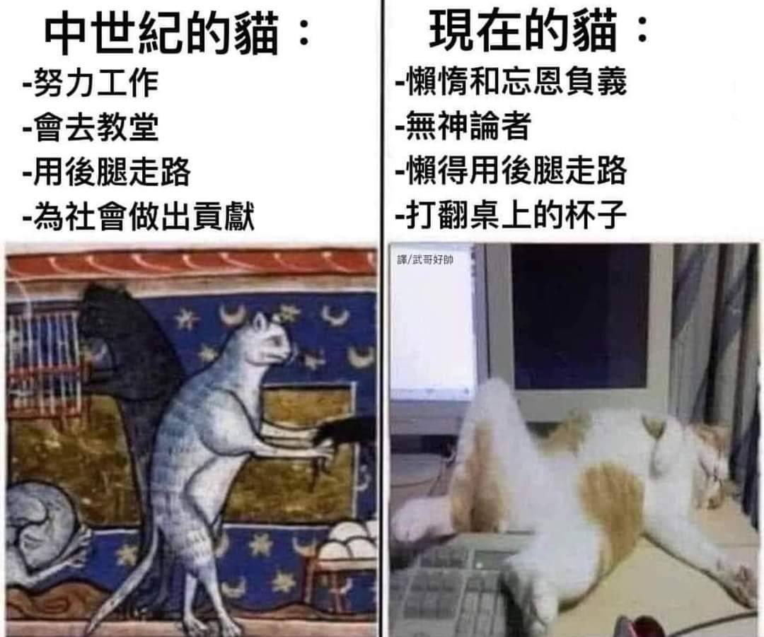 dxd_i's tweet photo. 确实😂 https://t.co/cD9XLReKA0