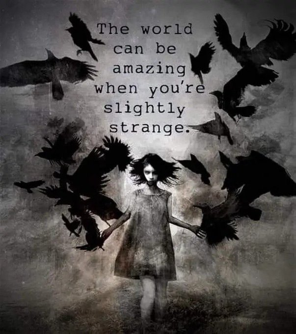 SubRosaMagick's tweet photo. #GoodNightWitches #goodnight #GoodNightTwitterWorld #GoodNightEveryone #goddess #sleepwell #SweetDreams #night #nightprayers #moonlight #witchesoftwitter #witches #moonmystic #staywild #moonchild https://t.co/3K15Tju6K6