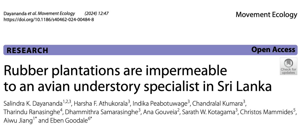New article! 🚨 #Rubber plantations are impermeable to understory habitat specialist #birds. Strips of native #vegetation with #understory layers can serve as corridors for birds in rubber-dominated landscapes. #Conservation #Biodiversity 🌿🐦 doi.org/10.1186/s40462…