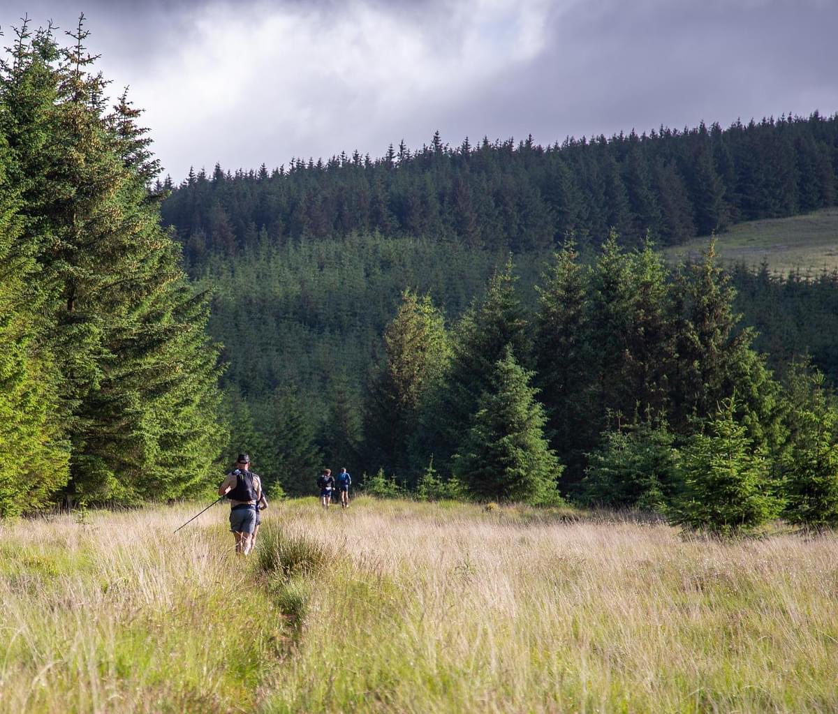 Ultra Scotland tweet media