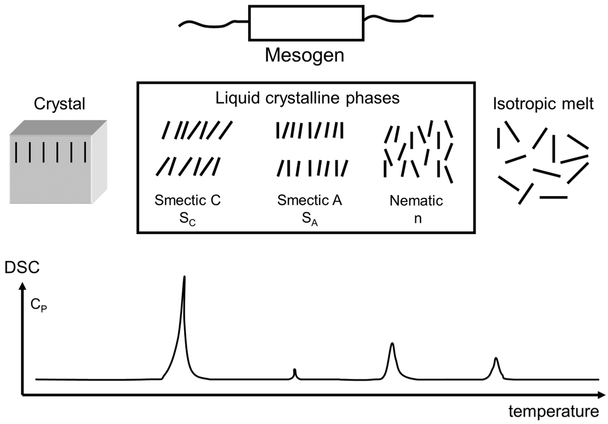 Crystals_MDPI's tweet photo. 🎉#LatestPaper
"Reversible Crosslinking of LC-Materials by Gel-Formation" by Rudolf Zentel from Johannes Gutenberg University of Mainz
#crystals #LC #gelling
@uni_mainz
📷https://t.co/1Nm9qE9E4A https://t.co/6PonwZYFoj