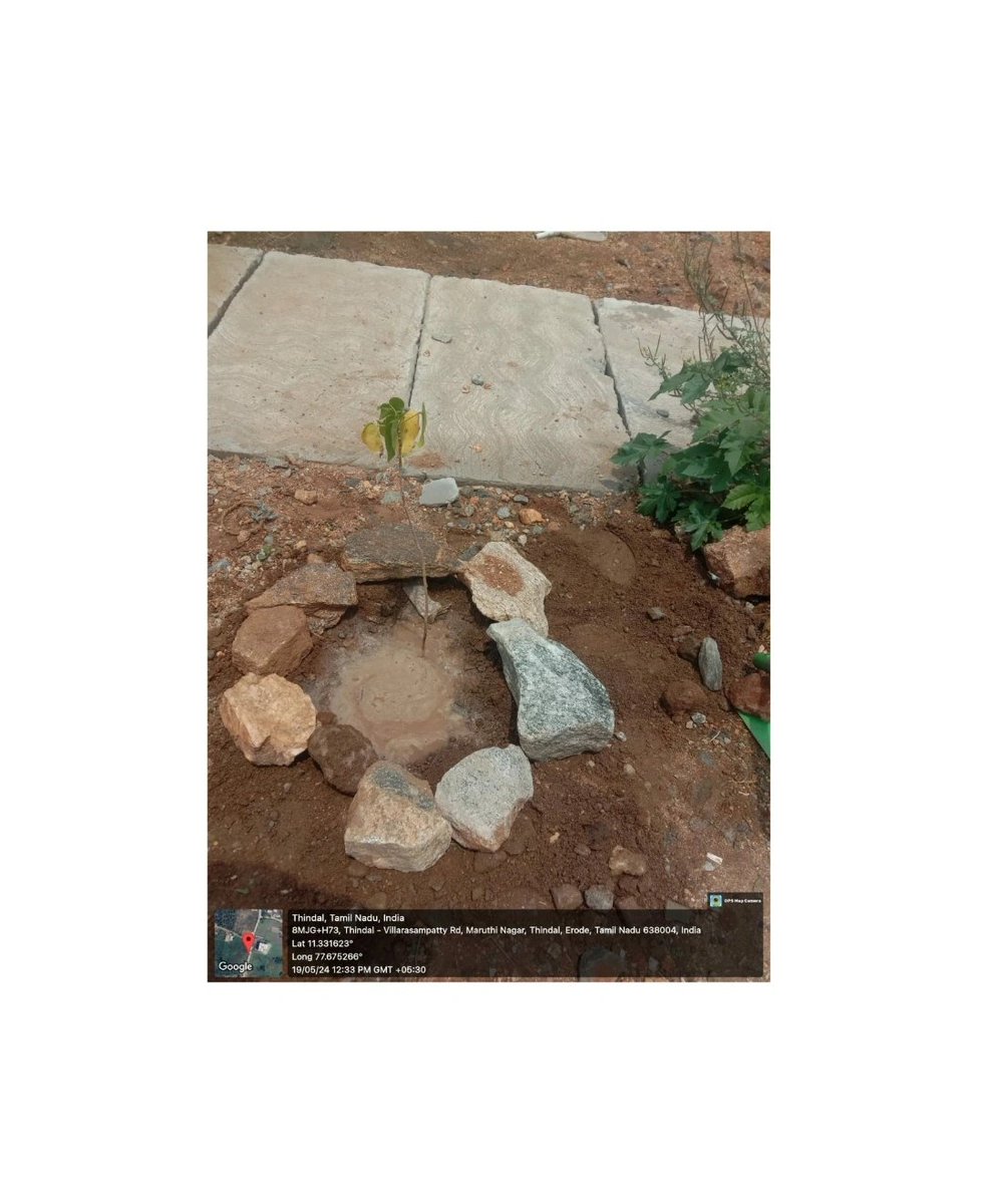 RCVCET_3203's tweet image. Plantation of saplings 🌳🌿
Vadugapatti