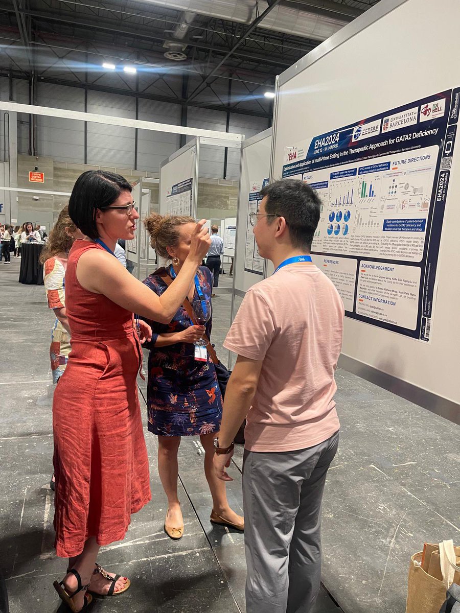 Great discussion with experts on #GATA2 deficiency at the #EHA2024. Thanks <a href="/DePaterLab/">Emma De Pater</a> for the feedback on <a href="/ZhicQiu/">Zhichao Qiu</a>’s work! 🩸