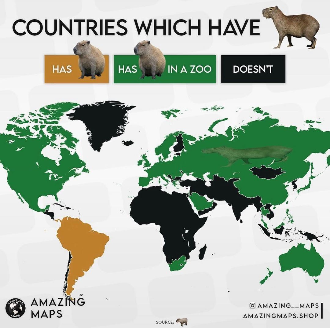 Countries that have Capybaras