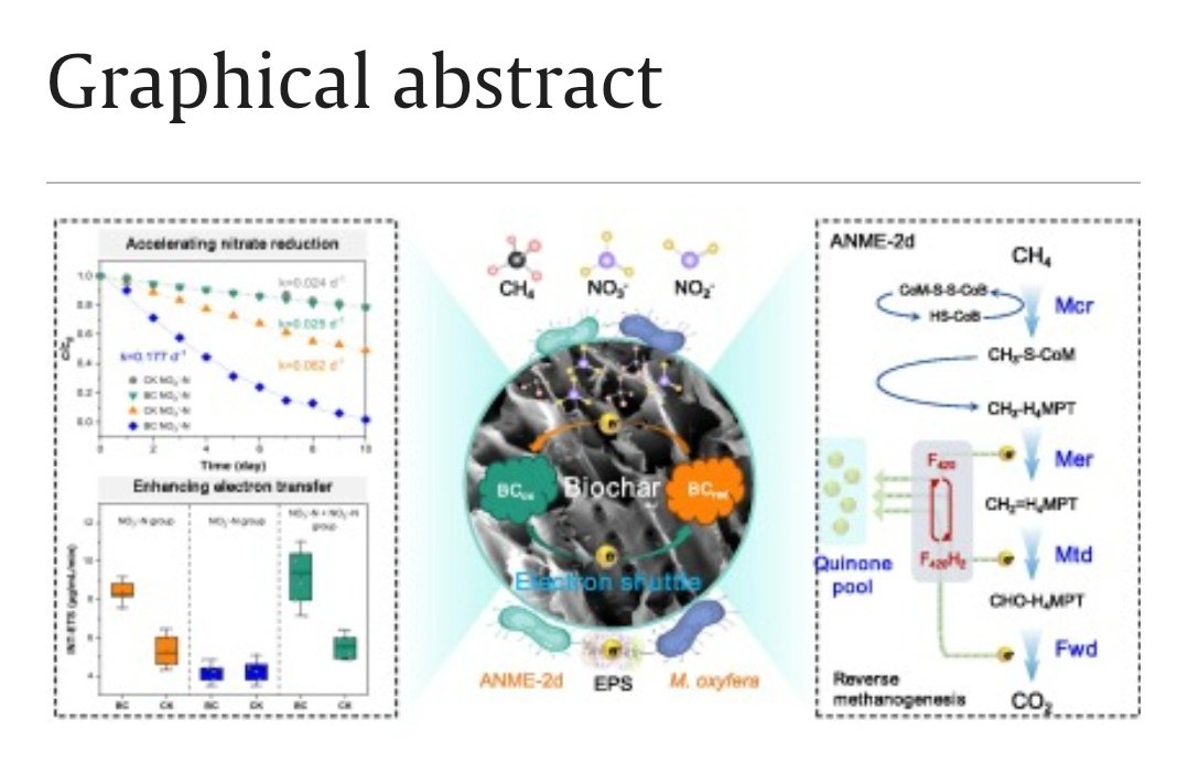 msmjetten's tweet photo. Biochar modulates intracellular electron transfer for nitrate reduction in #denitrifying anaerobic #methane oxidizing archaea #methanoperedens
https://t.co/Nc4gxyCsjg https://t.co/O0FpzZcqLh