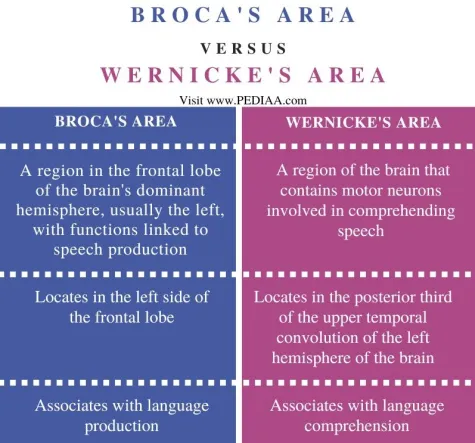 sheirpm's tweet photo. Broca's Area vs Wernicke's Area
Malingering vs Factitious Disorder
Delirium vs Dementia
Somatic Symptom and Related Disorders https://t.co/WYYZugHbA3