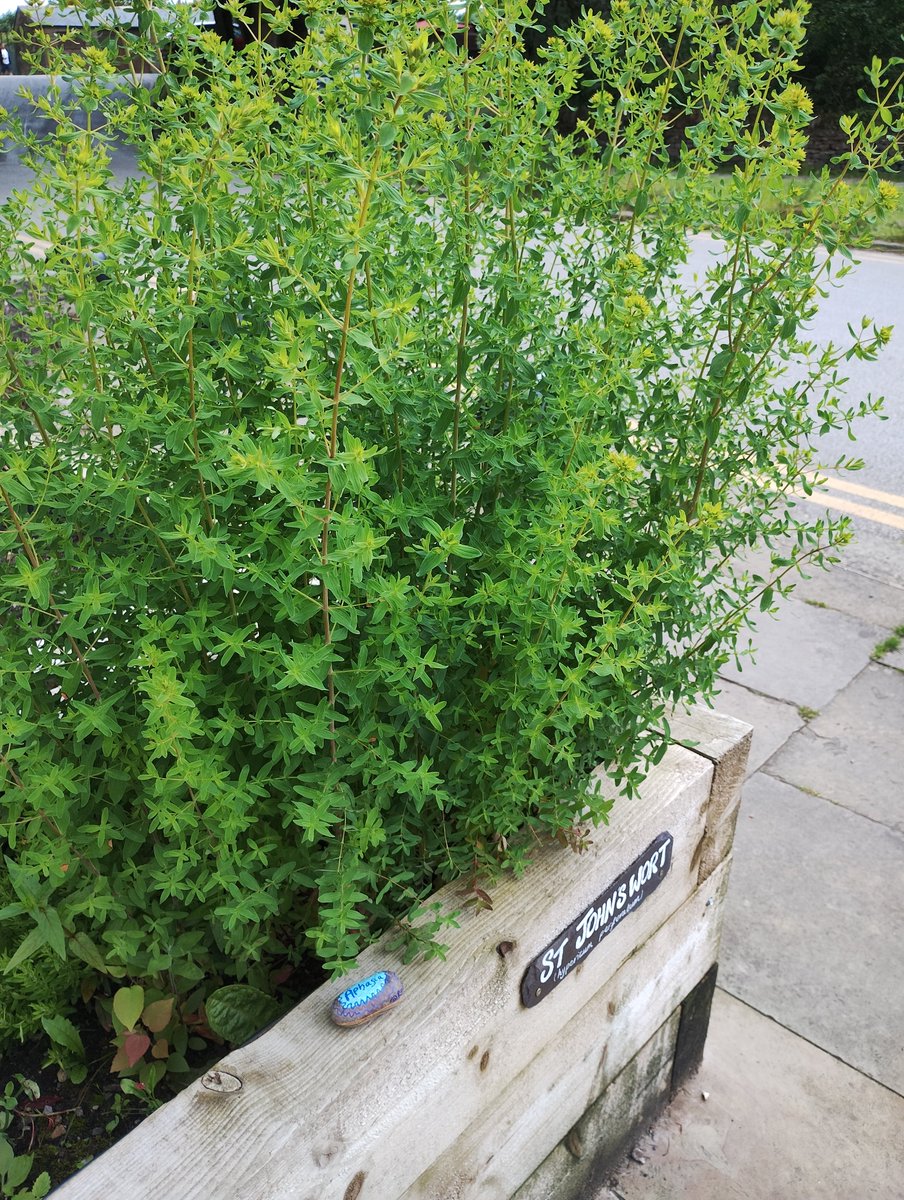 We put this #AphasiaAwarenessMonth stone in Burrs Country Park on our way to a wedding this weekend ☺️ <a href="/RockingAphasia/">Rocking Aphasia</a> #RockingAphasia