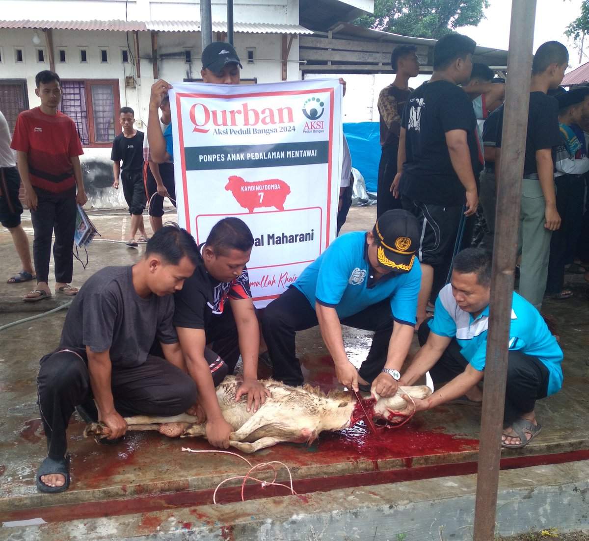 Usman Harahap tweet media