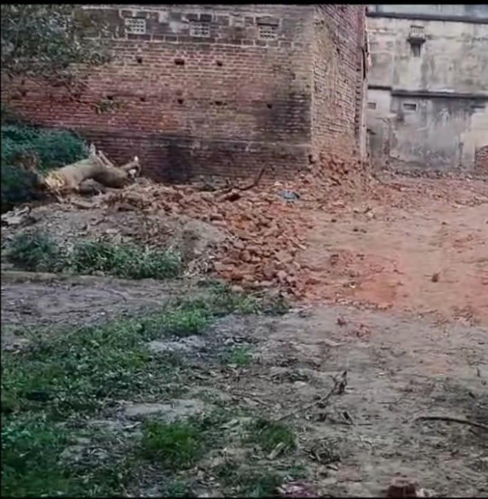 ASHASHA29339332's tweet photo. Sir @SdpoDanapur  Met &amp; reported to Bihta Police twice &amp; reported illegal demolition of my ancestral property in Feb 2024 using bull dozers by unknown persons.Goods sold off.Written complaint made to Grievance cell too. Policemen confirm demolition after visiting site. @dm_patna https://t.co/79dBZvSztS