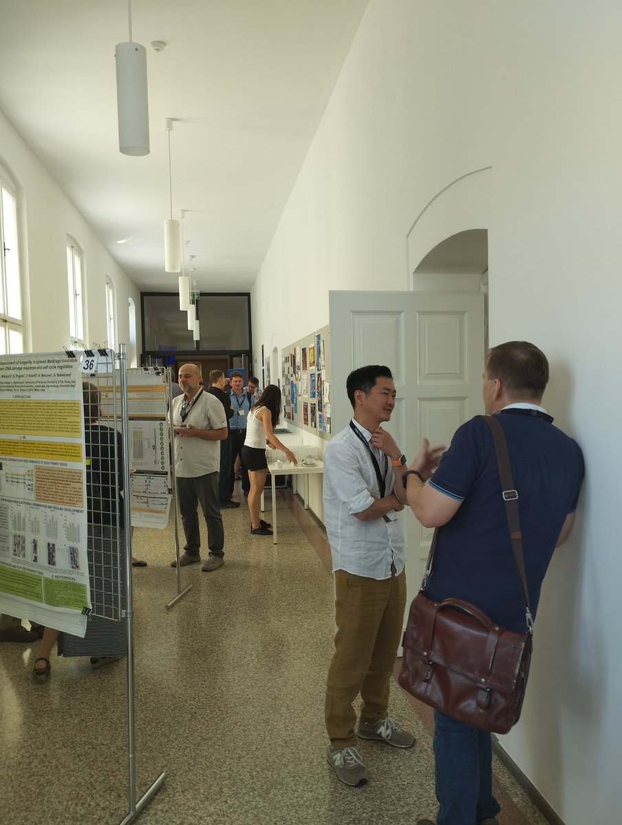 Chromatin organization @pecinka-grp.bsky.social tweet media