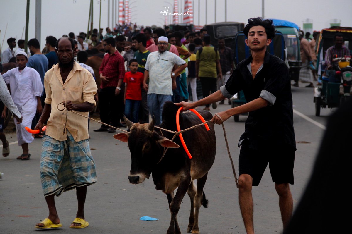 Hamid__Hossen's tweet photo. Cattle market || Eid-ul-adha

📍Cox's Bazar
©Hamid Hossen

#cxbdiary #streetphotography 
#eiduladha #cattlemarket https://t.co/BlvmHYdqs2