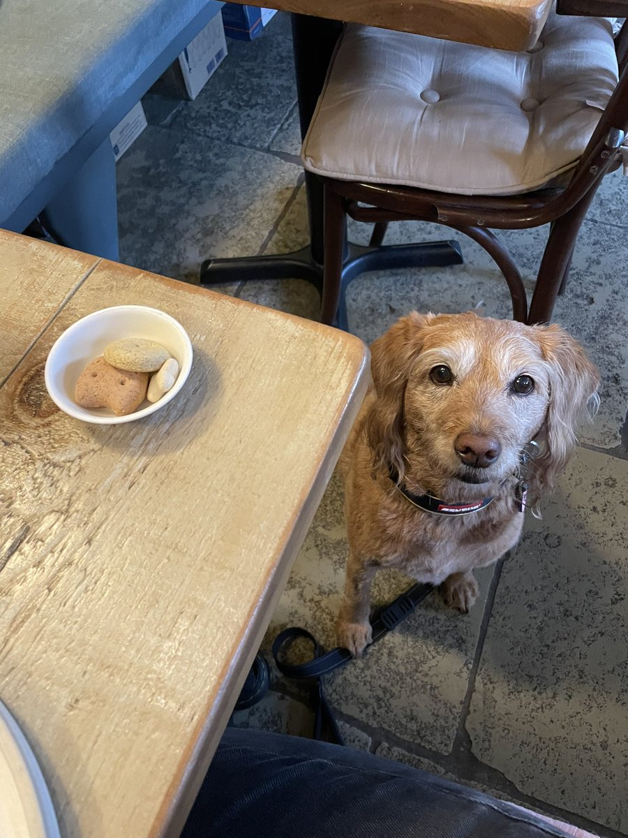 <a href="/TheThreeHills2/">The Three Hills</a> Thank you for an amazing overnighter…faultless food (inc. the best scotch egg starter ever!) comfy rooms &amp; lots of amazing little touches all make a difference! #fantasticfood #dogfriendly #country #relax #cambridgeshire <a href="/cilla_dog/">PAT dog Cilla 💙🧡</a> <a href="/bennyontheboil/">Goomba</a>