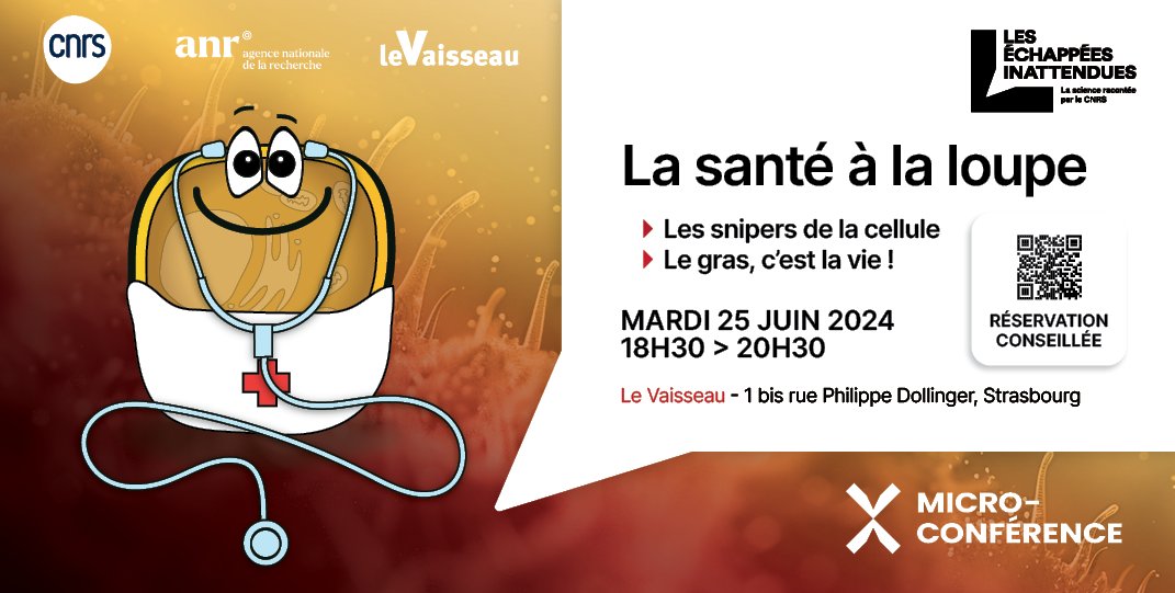 La #santé à la loupe 🩺🔎👀 - #ÉchappéesInattendues 
2 thèmes | 3 micro-confs de 10 min / thème
🗓️Mardi 25 juin | 18h30 à 20h30
📌<a href="/LeVaisseau67/">Le Vaisseau</a>
💸GRATUIT
Infos et résas ➡️ bit.ly/santeloupe
<a href="/AgenceRecherche/">ANR - Agence nationale de la recherche</a> #SAPSCNRS #ANR_AActus