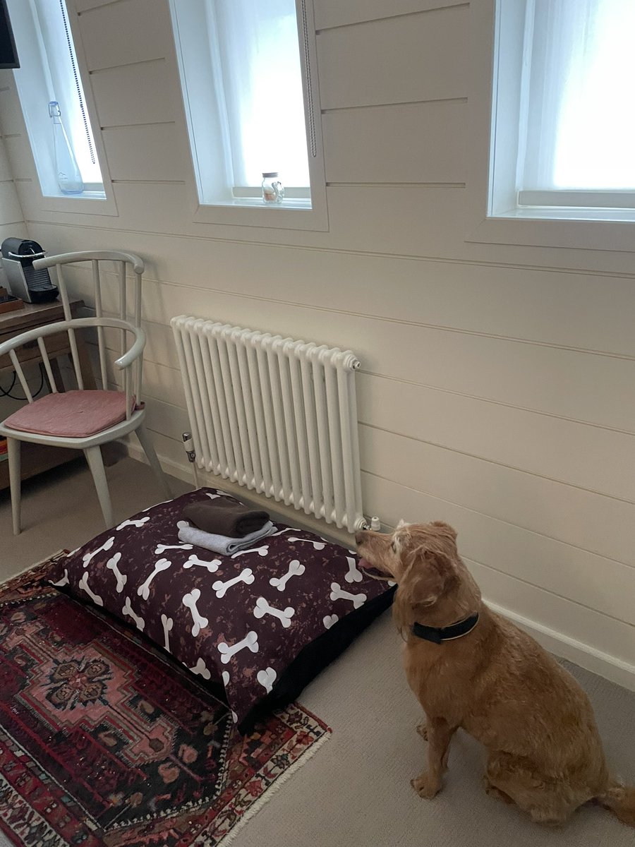 pawsome weekend adventure &amp; sleepover <a href="/TheThreeHills2/">The Three Hills</a> Fanks for looking after me &amp; my mum &amp; dad #dogs #labradoodle #adventure #funvibes #weekendadventure