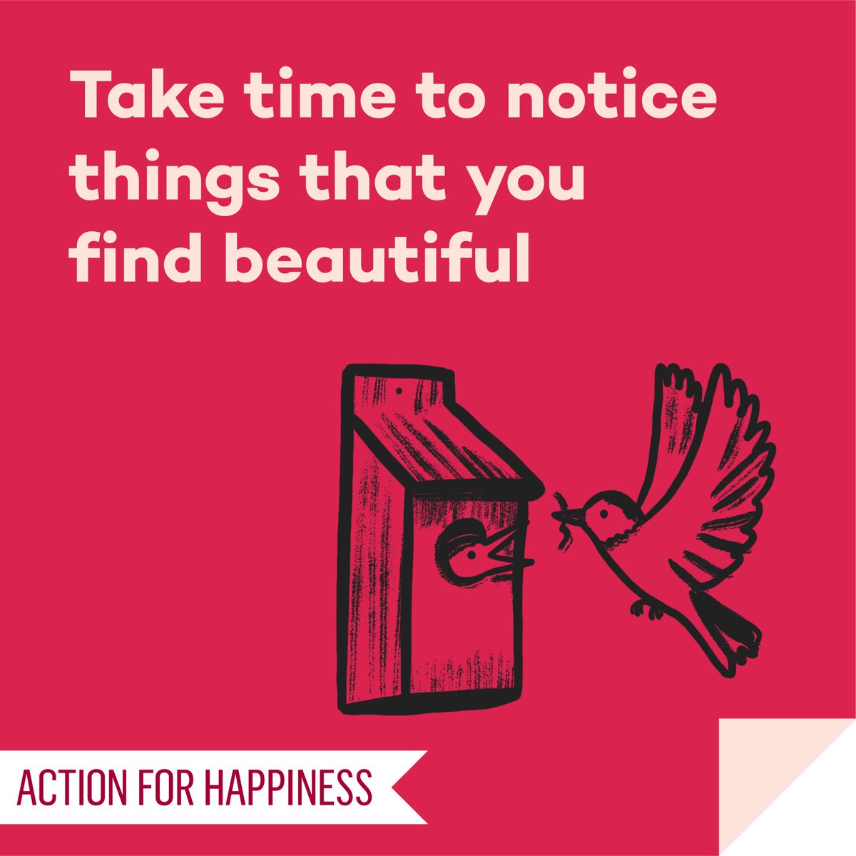 Joyful June - Day 17: Take time to notice things that you find beautiful actionforhappiness.org/joyful-june #JoyfulJune
