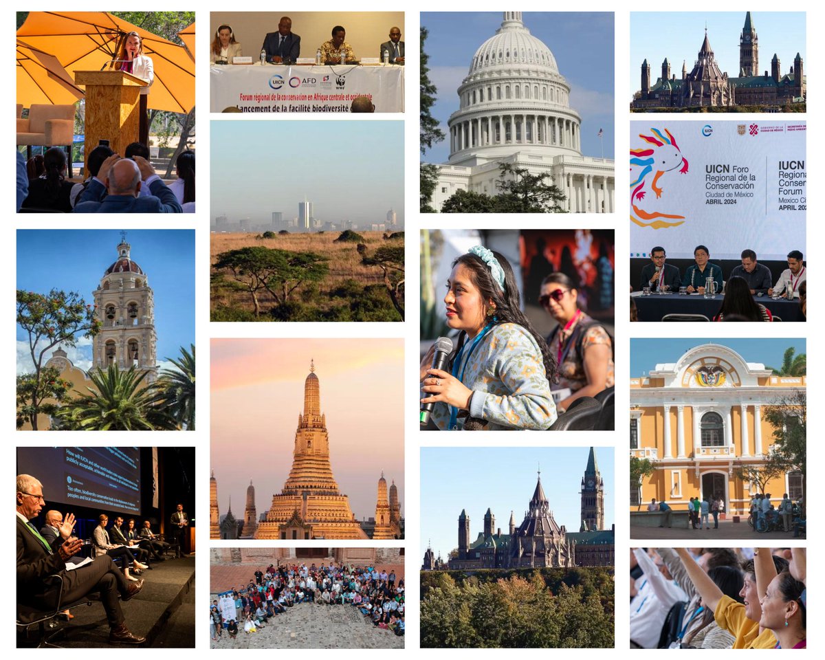 Bringing together IUCN Members and experts to discuss sustainable development &amp; conservation, IUCN’s Regional Conservation Fora are vital platforms for dialogue and collaboration.
 
They are also key in setting the stage for the #IUCNcongress.
 
Learn more bit.ly/3xB2P45