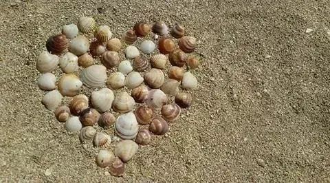DTNEtiquette's tweet photo. Be humble, be kind, be real...~ #DTN #notime4fake https://t.co/hGxPIzE7Q4
