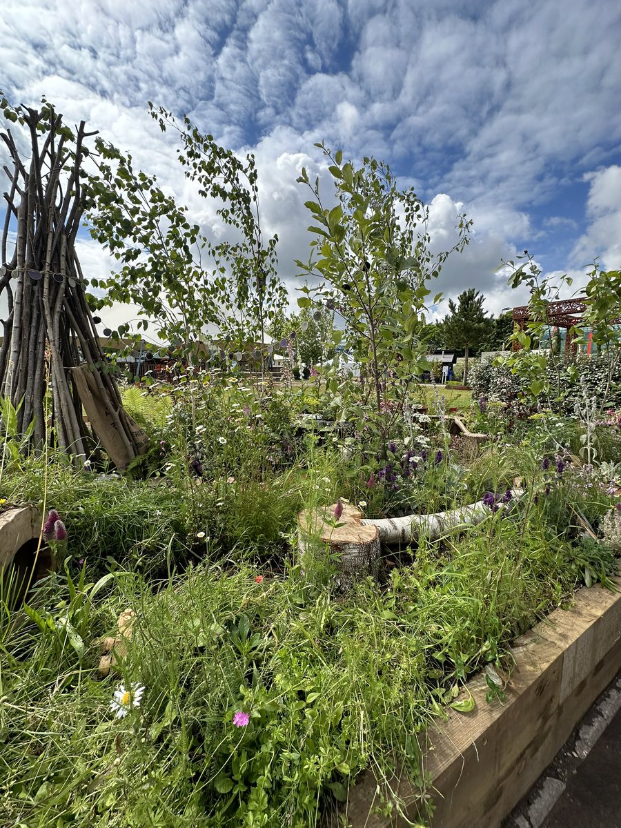 EllenMaryGarden's tweet photo. Day 4 the last day of @BBCGWLive 2024. What a privilege to host the houseplant stage throughout the show and get to chat and work with some really lovely plant lovers 💚🙏🏻
Thanks to all of the houseplant exhibitors, retailers, speakers, friends.
#bbcgwl #bbcgwlive #houseplants https://t.co/oKPOj1GO4A