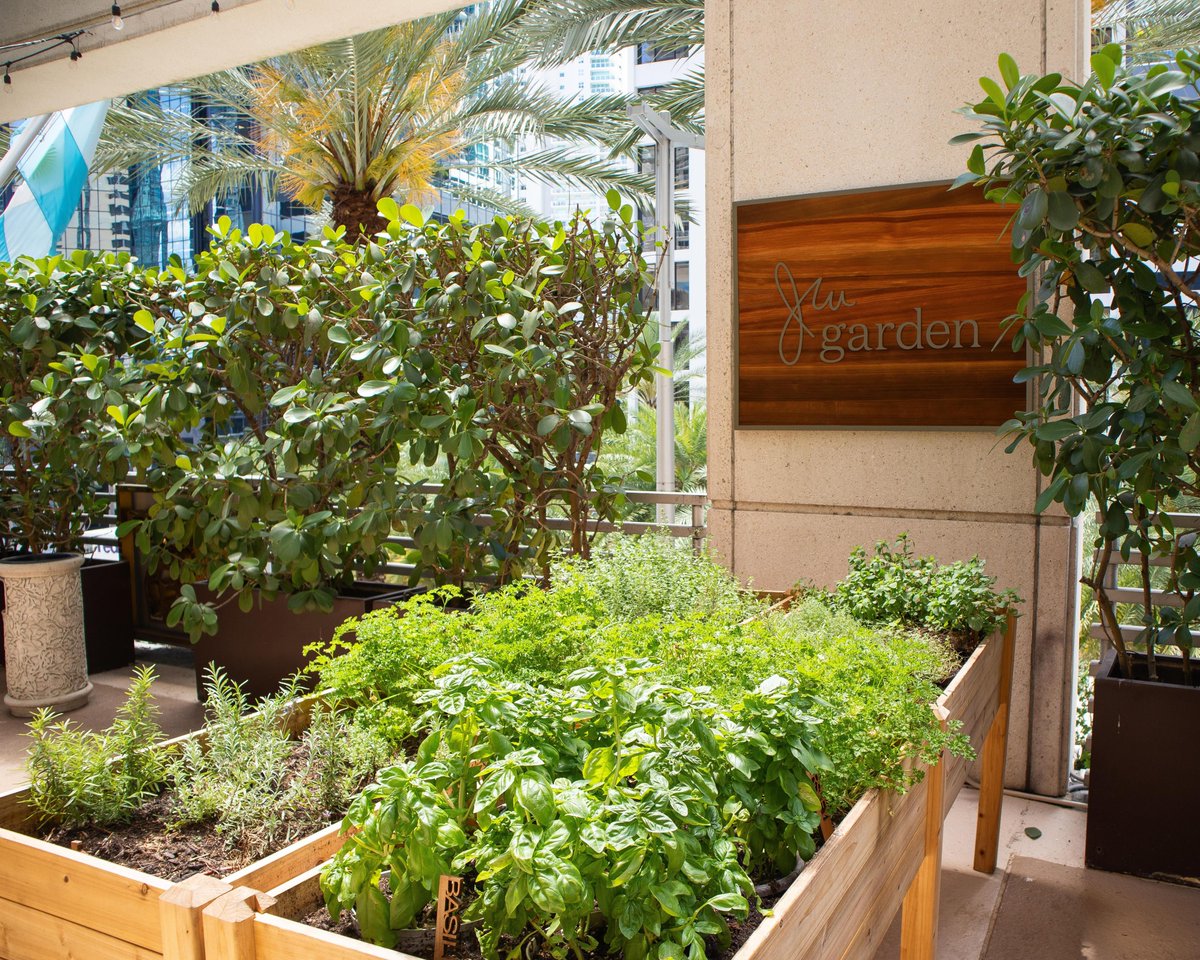 Discover our serene escape outside of Isabela's. Our JW Garden provides the freshest ingredients in our delectable dishes.