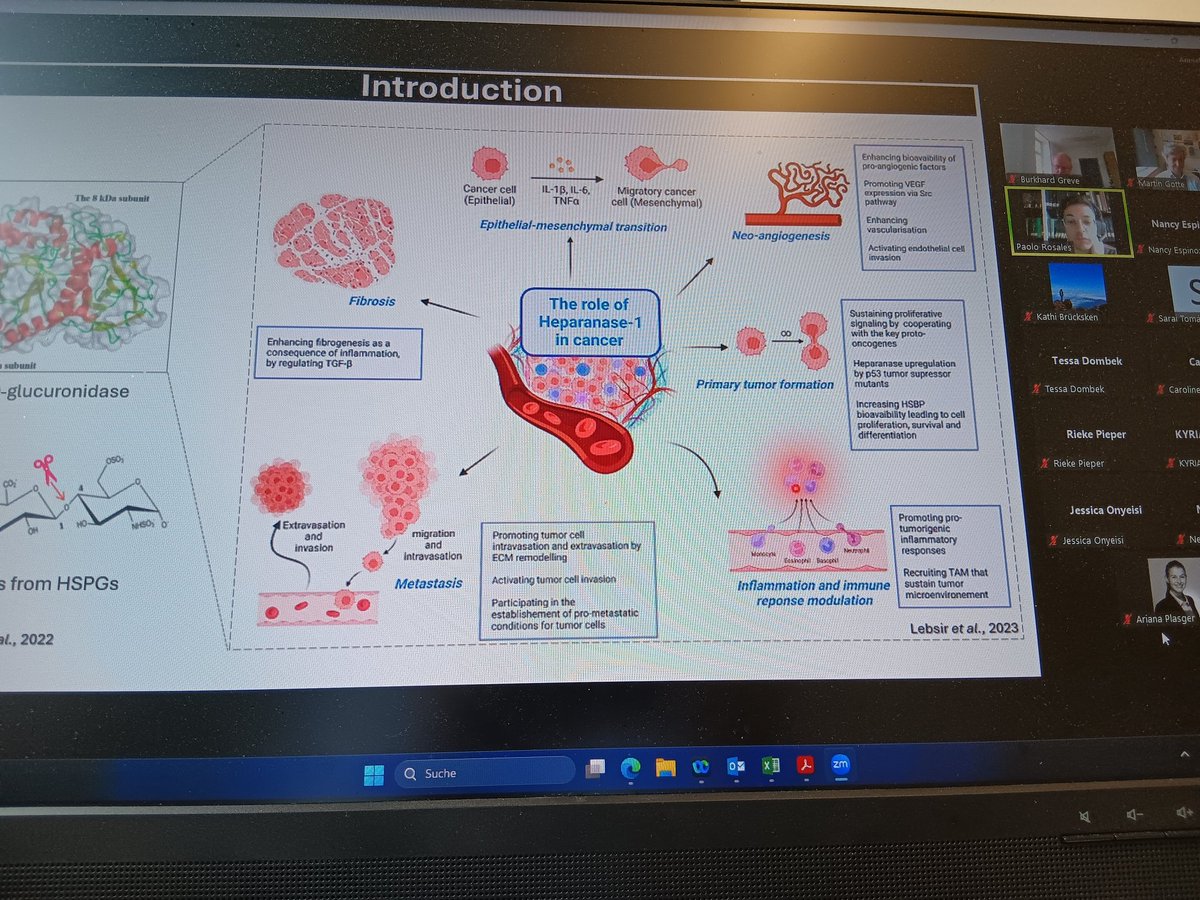 EU project HEPINIB (@hepinib_eu) on Twitter photo Excellent presentation of <a href="/HEPINIB_EU/">EU project HEPINIB</a> secondee Paolo Rosales from the <a href="/ALDZ73/">Laura Alaniz</a> Laura Alaniz team of <a href="/Conicet/">Conicet</a> on #heparanase and #syndecan-1 in #breastcancer
at <a href="/uni_muenster/">Universität Münster</a>. <a href="/IntSocMatBio/">ISMB</a> <a href="/Matrixbiologie/">DGMB</a> <a href="/UK_Muenster/">Uniklinik Münster</a> <a href="/MSCActions/">Marie Skłodowska-Curie Actions</a> <a href="/GlycansC/">Glycans in Cancer</a> Excellent presentation of <a href="/HEPINIB_EU/">EU project HEPINIB</a> secondee Paolo Rosales from the <a href="/ALDZ73/">Laura Alaniz</a> Laura Alaniz team of <a href="/Conicet/">Conicet</a> on #heparanase and #syndecan-1 in #breastcancer
at <a href="/uni_muenster/">Universität Münster</a>. <a href="/IntSocMatBio/">ISMB</a> <a href="/Matrixbiologie/">DGMB</a> <a href="/UK_Muenster/">Uniklinik Münster</a> <a href="/MSCActions/">Marie Skłodowska-Curie Actions</a> <a href="/GlycansC/">Glycans in Cancer</a>