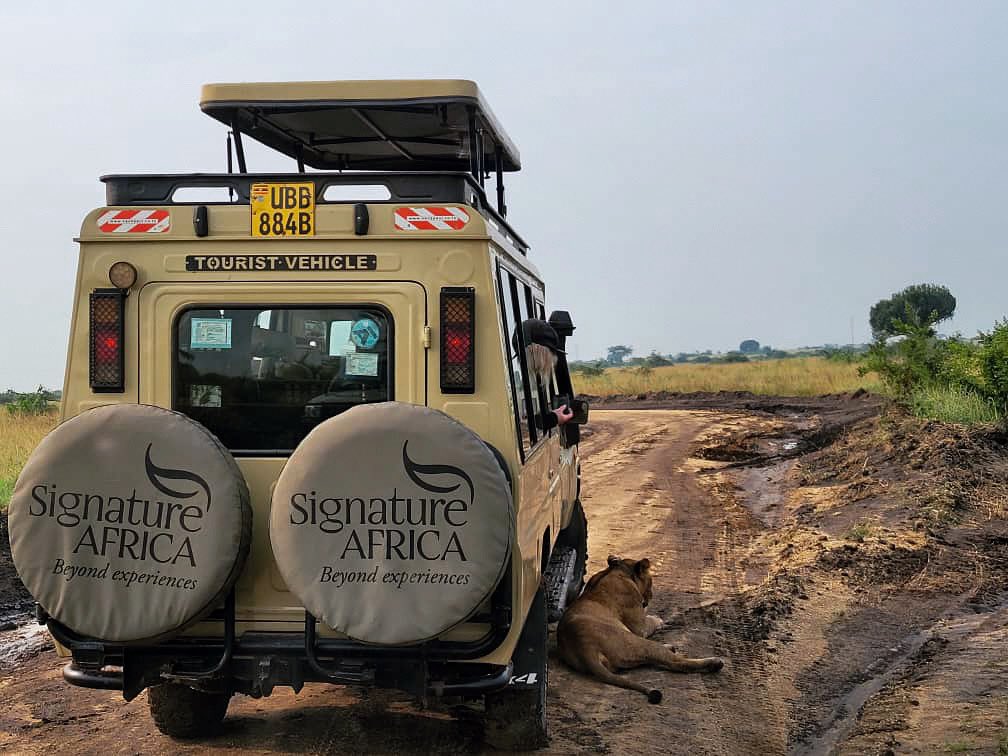AfricaSafariss's tweet photo. The Start of a new week calls for start of new Signature Adventures π.
Be part of our journeys beyond experiences by booking with us at info@signature-africa.com to get started.
#signature #africansafari #wearesignature #journeysbeyond https://t.co/cvK7d5UlqQ