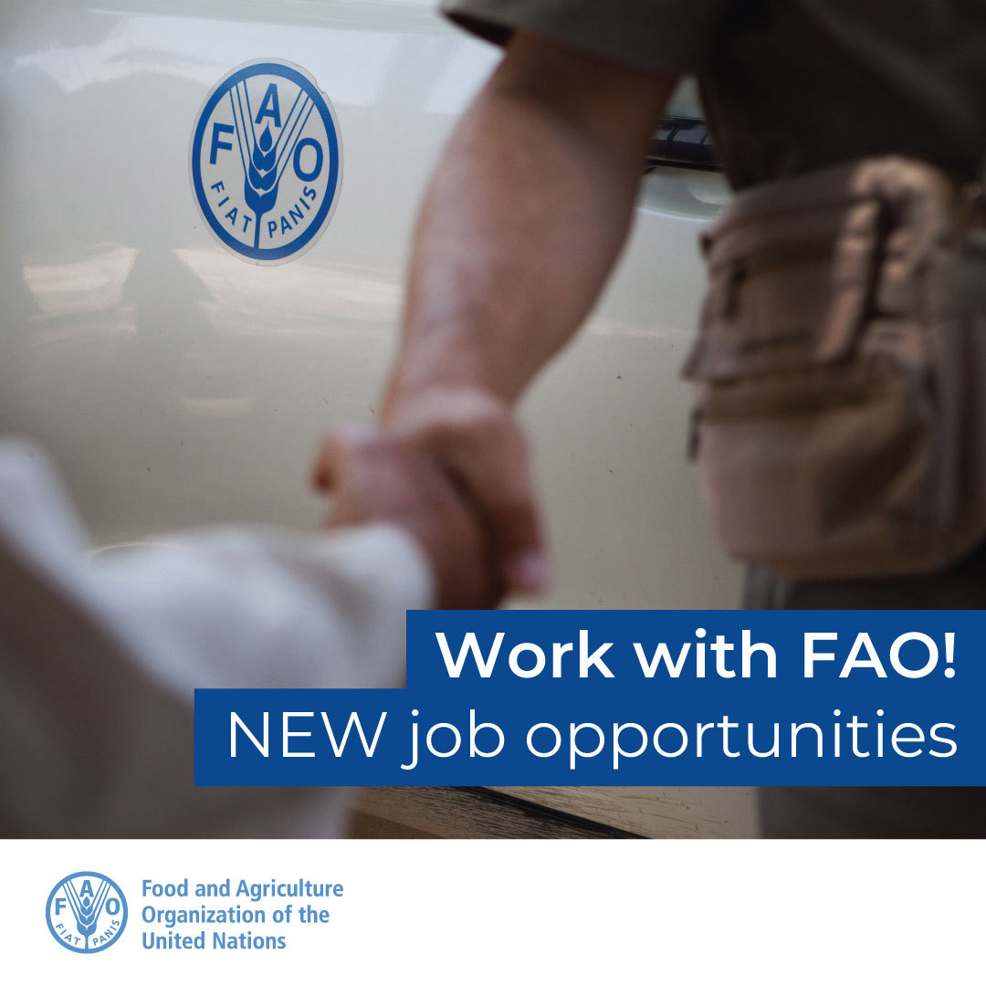 FAOLivestock's tweet image. 📢 #JobOp 🧰 @FAO is seeking for a Livestock Policy Officer (Livestock and Climate Change Specialist) in Rome, Italy.
🗓️ Deadline 4 July 2024
👉 Livestock Policy Officer (Livestock and Climate Change Specialist)
#ApplyNow #UNJobs #JobOp