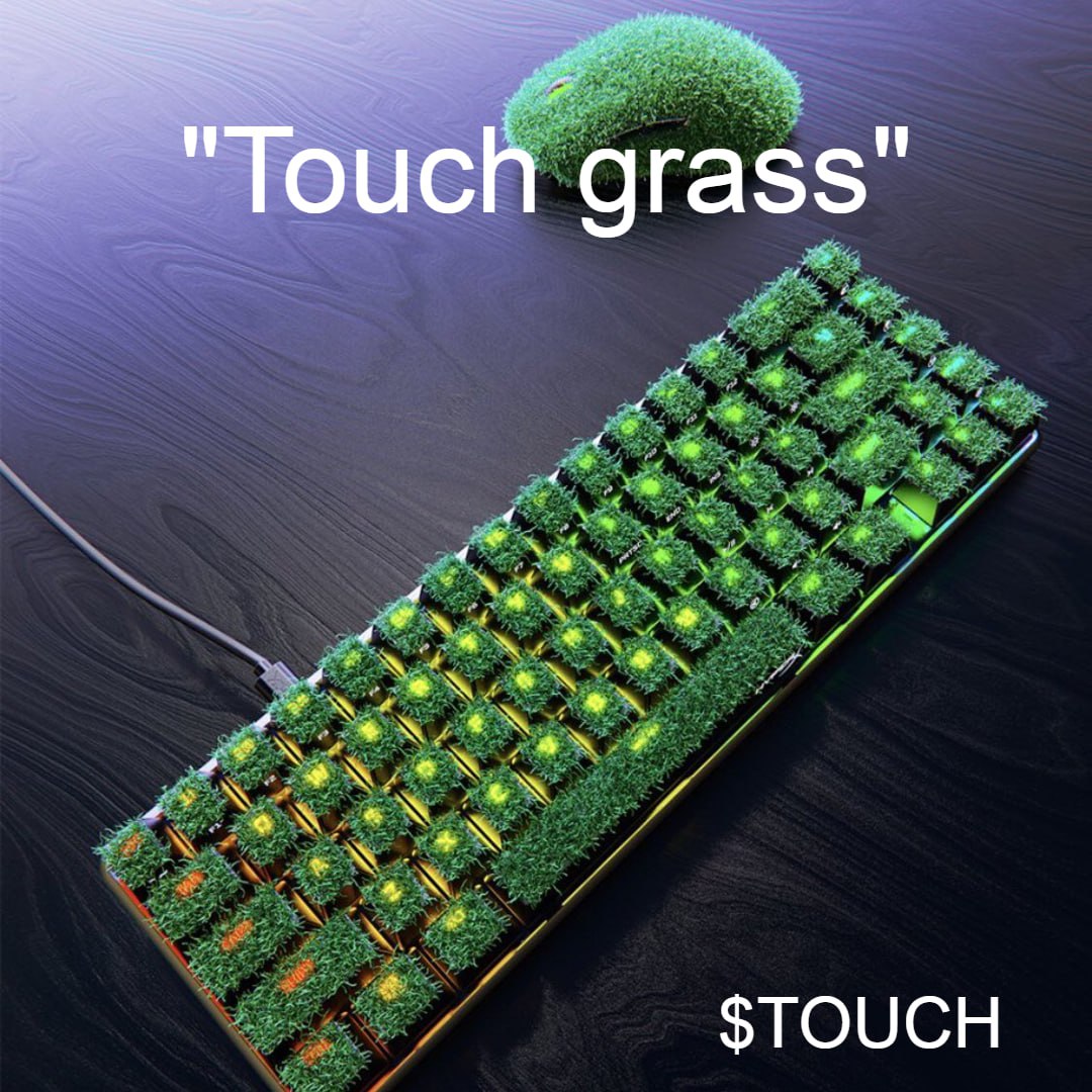 JpalWeb3's tweet photo. @TouchGrassCTO @shahh $TOUCH is on pf right now, jump on before it hits raydium

CA: Lw6BxDExeNhHqXhkZj1ufQBQNbJaiXKa6iuTizDrH3f https://t.co/QDIEx8i7KT