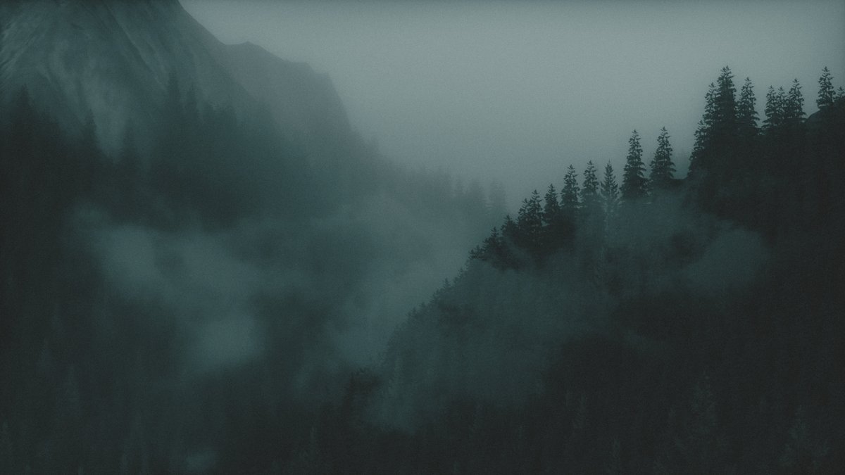 discophotomode's tweet photo. Alan Wake 2 https://t.co/mcc5fHEdkJ