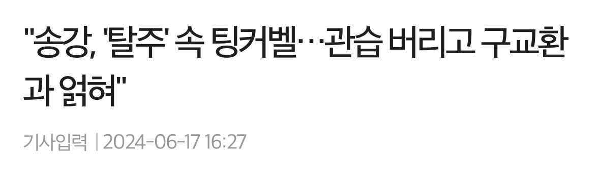 사라다 tweet media