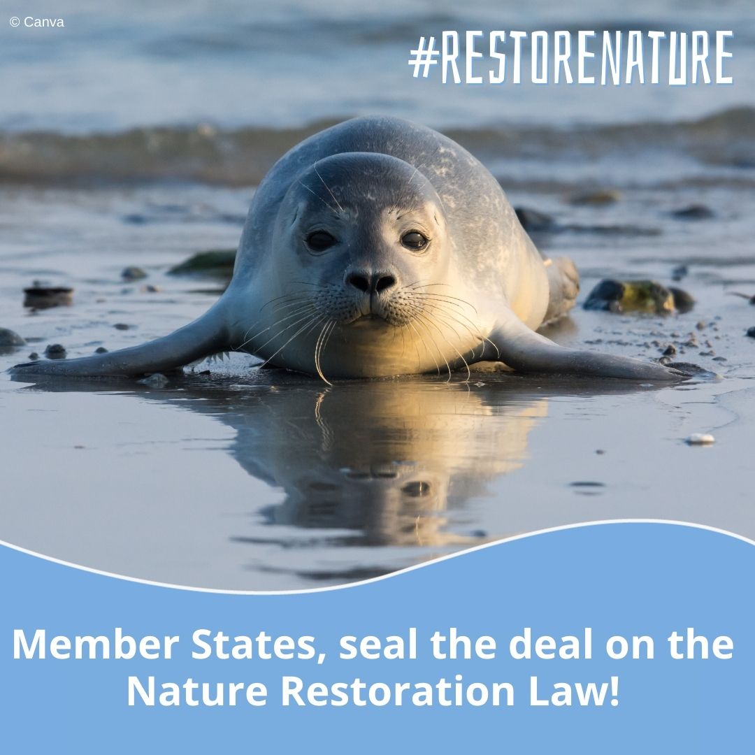 Today is the moment of truth for the Nature Restoration Law! 🤞 

We call on Member States to support the long-awaited #RestoreNature law!

Watch #ENVI Council live from 9:45: video.consilium.europa.eu/event/en/27518