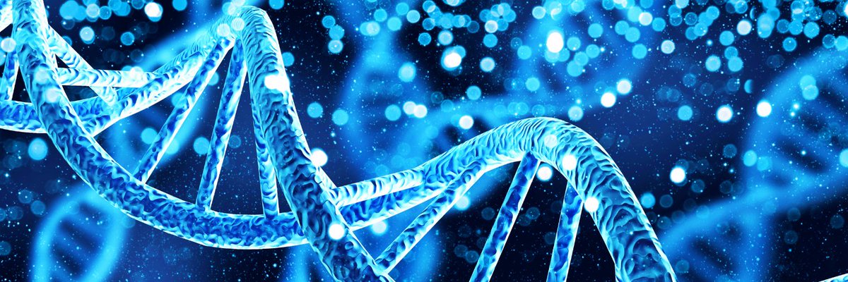 Webinar: Doing business in the United States: what you need to know about the US life sciences ecosystem 🆕

📆20 giugno, h 16

Partecipazione gratuita:  een.ec.europa.eu/doing-business…

Info: pie.camcom.it/internazionali…