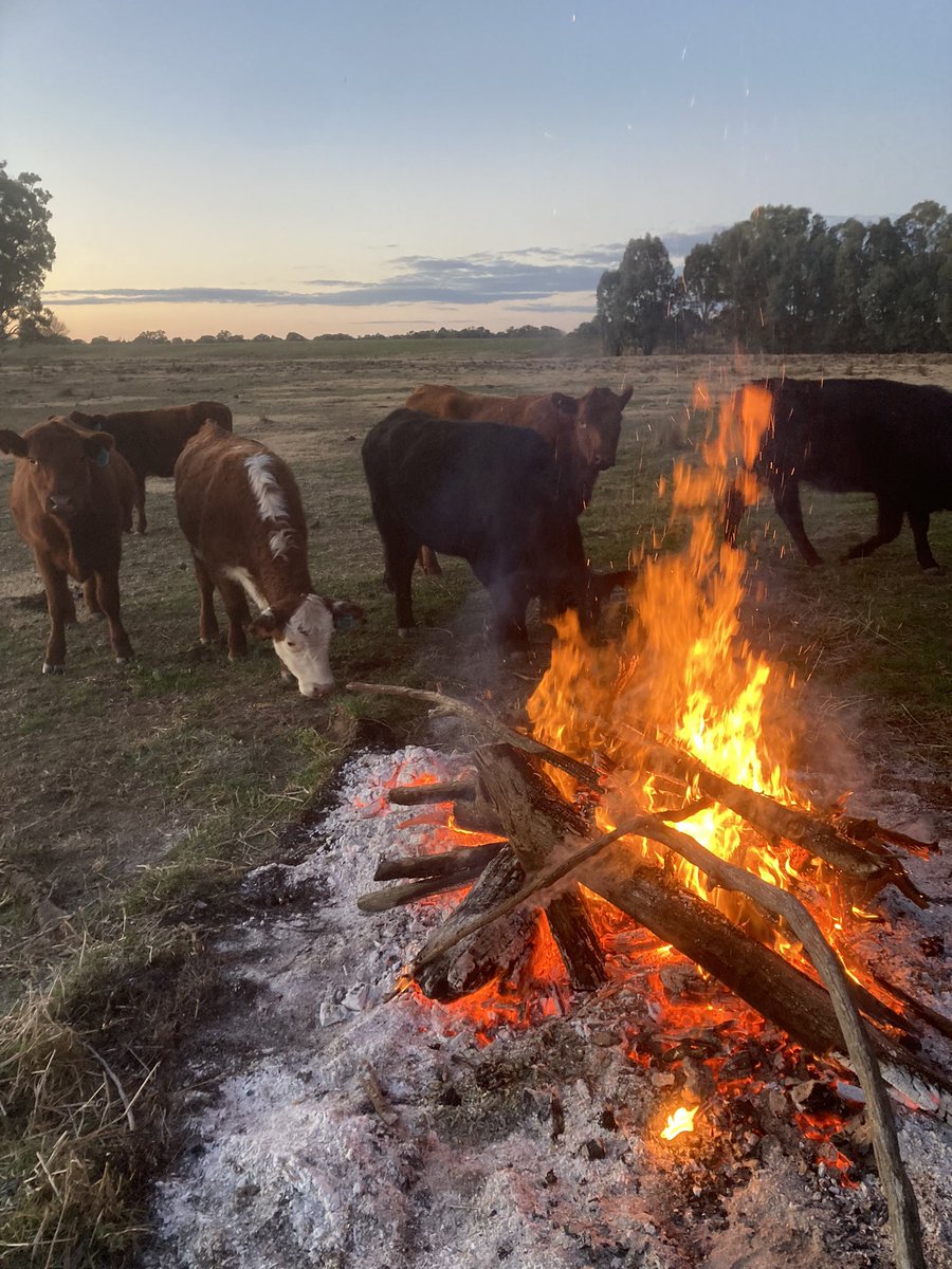 AndrewKoop's tweet image. No one brought beer!