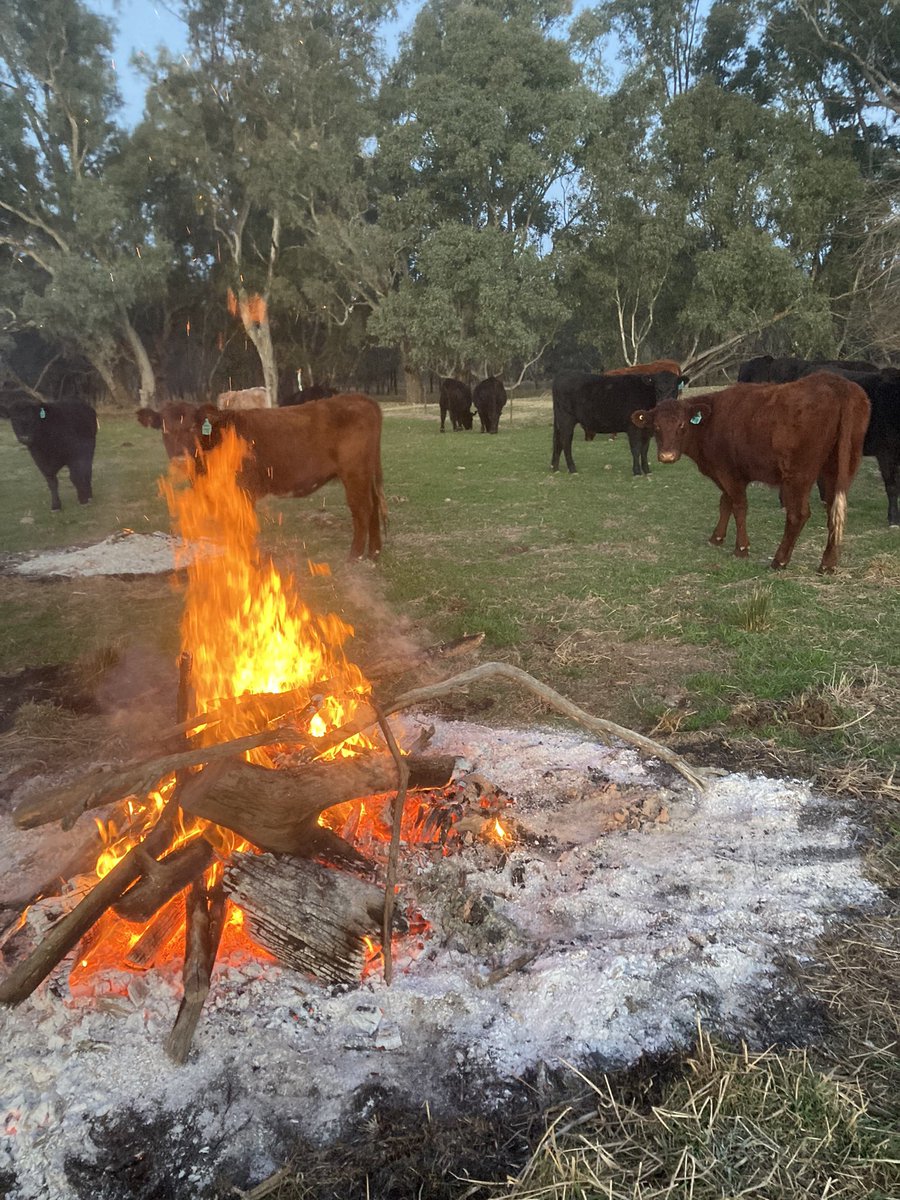 AndrewKoop's tweet image. No one brought beer!