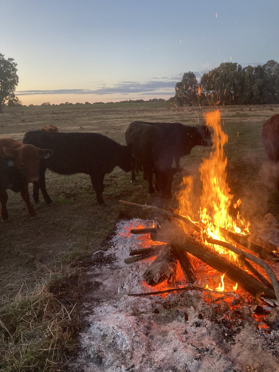 AndrewKoop's tweet image. No one brought beer!