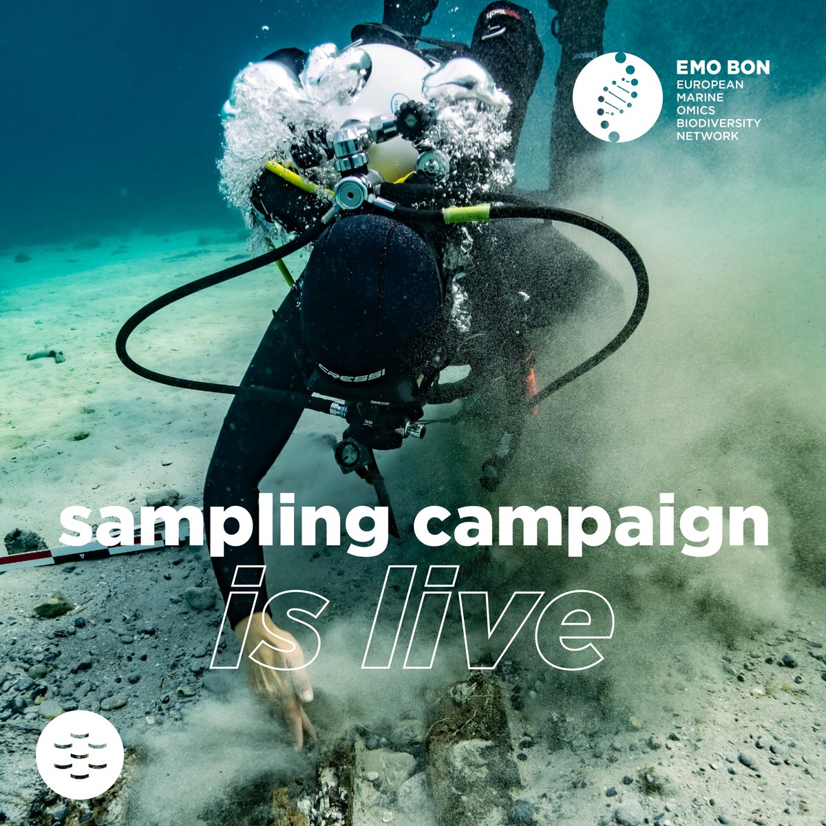 EMBRC (European Marine Biological Resource Centre) (@embrc_eu) on Twitter photo #EMOBON I Ready, set, sample! 💧
Our 3rd sampling campaign is live 🚀
🔊Calling all our EMO BON team members: we need your active participation!
💡Keep complete metadata records
💡Update spreadsheets ASAP
💡Share pics & videos on social media  
#WorldOceanDay #MarineScience #EMOBON I Ready, set, sample! 💧
Our 3rd sampling campaign is live 🚀
🔊Calling all our EMO BON team members: we need your active participation!
💡Keep complete metadata records
💡Update spreadsheets ASAP
💡Share pics & videos on social media  
#WorldOceanDay #MarineScience
