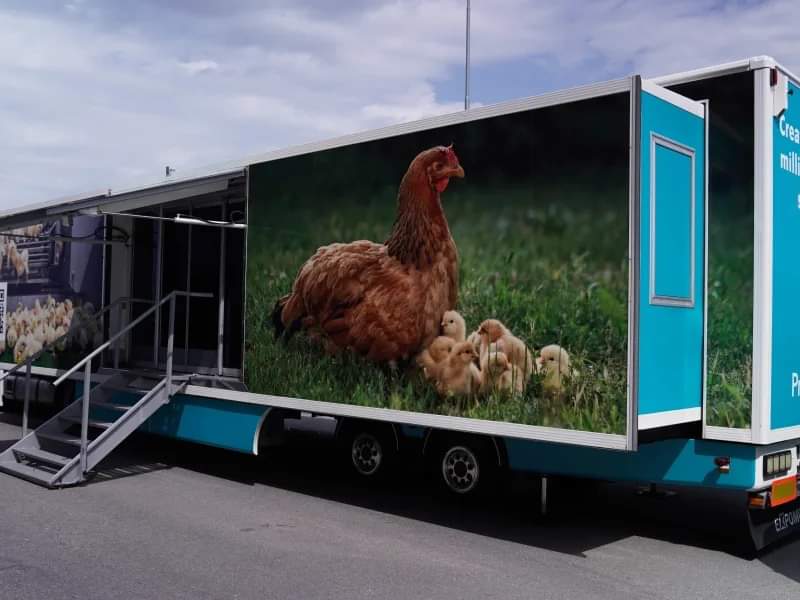 👀 #ZooZiņa: 17. un 18. jūnijā Doma laukumā ar virtuālās realitātes palīdzību izglītos par dzīvniekiem. Interaktīva izstāde no Zviedrijas "Par dzīvniekiem - Eirotūre 2024" ar iespēju palūkoties uz pasauli no fermu dzīvnieku skatpunkta + par viņu aizsardzību ES. Ieeja brīva.