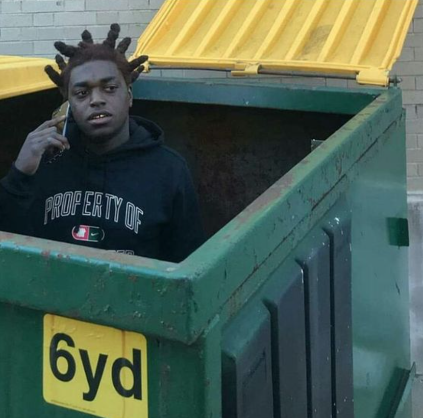 Feliz lunes 💚 ¿Qué Kodak eres hoy? 🫡