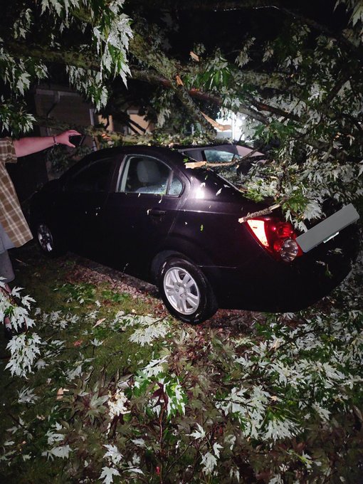 There was a popup storm here (IN), a huge tree went through my neighbor's bedroom (she's fine), totaled<a href="/tag/mvsales"class="tags"><span>#mvsales</span></a>