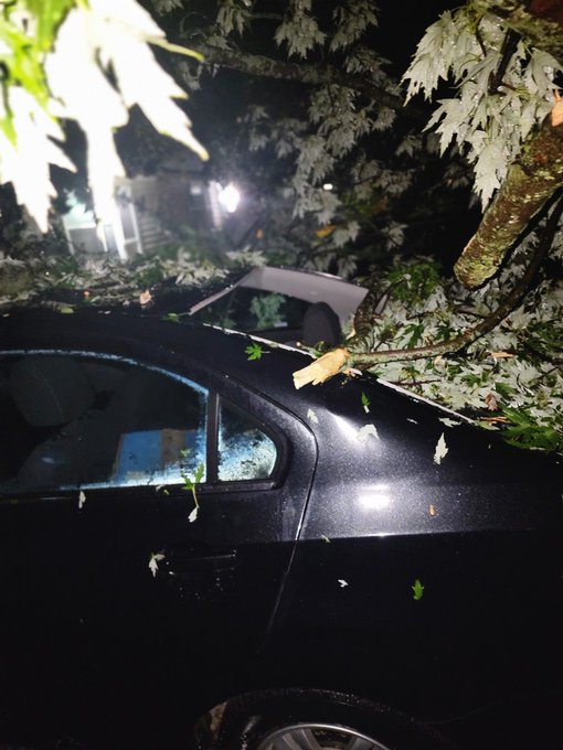 There was a popup storm here (IN), a huge tree went through my neighbor's bedroom (she's fine), totaled<a href="/tag/mvsales"class="tags"><span>#mvsales</span></a>