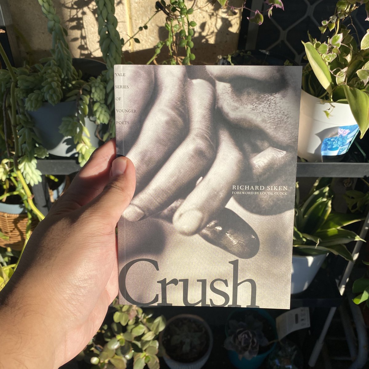 manny 🦧 tweet media