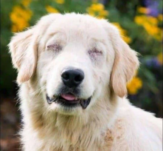 Please don't swipe past without sending him some love and Wishes!