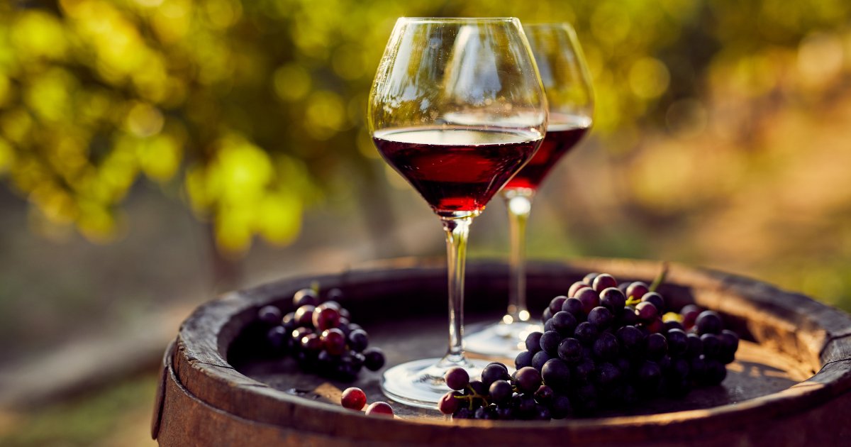 Embark on a Spanish wine adventure! 🍷
From Rioja's robust reds to Priorat’s hidden gems, our guide has it all. #SpanishWine #TravelTuesday #WineTasting #Spain #HolidayHamster

Read more: holidayhamster.co.uk/cheers-to-espa…