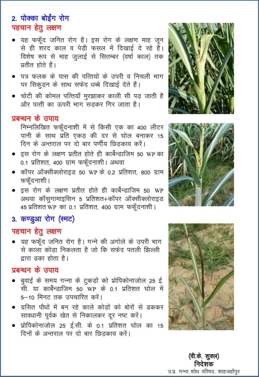 OPSINGHDycc's tweet image. 